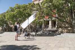 Klabautermann Images